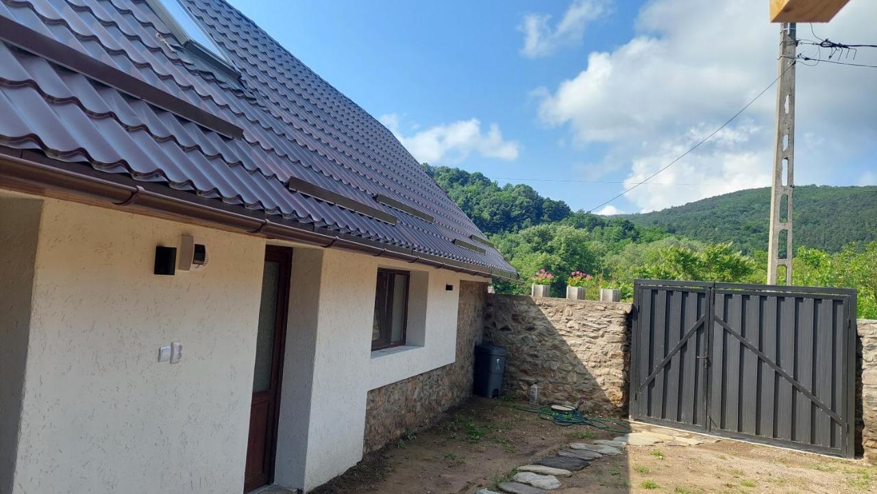 Villa Casa Noua Sasca Montană Exterior foto